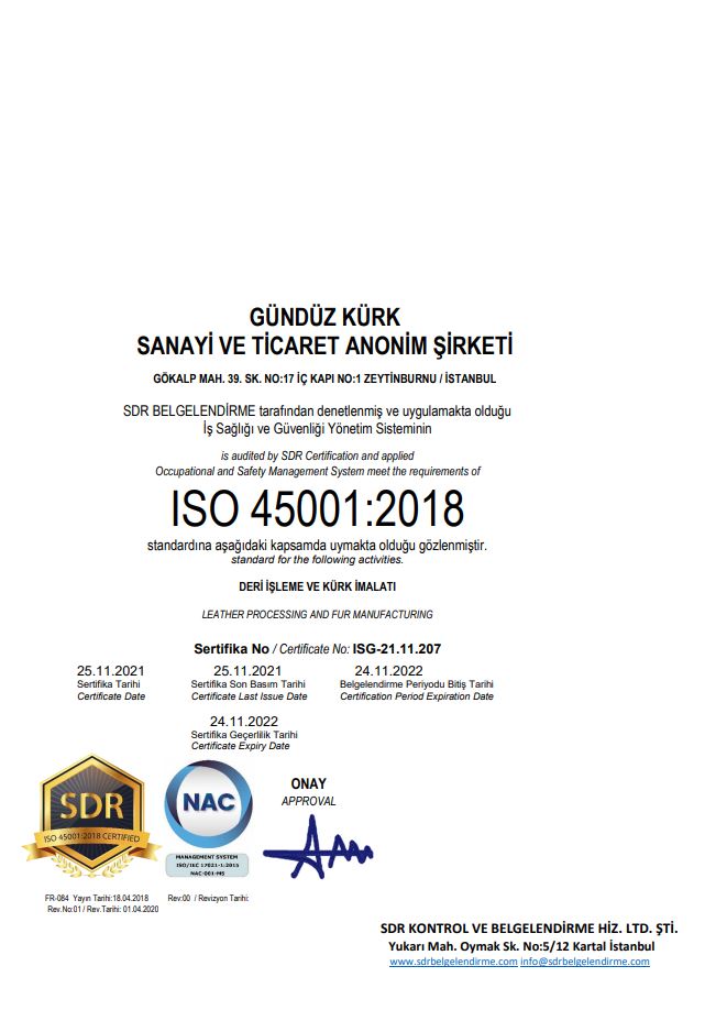 ISO 45001