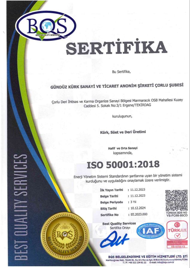 ISO 50001