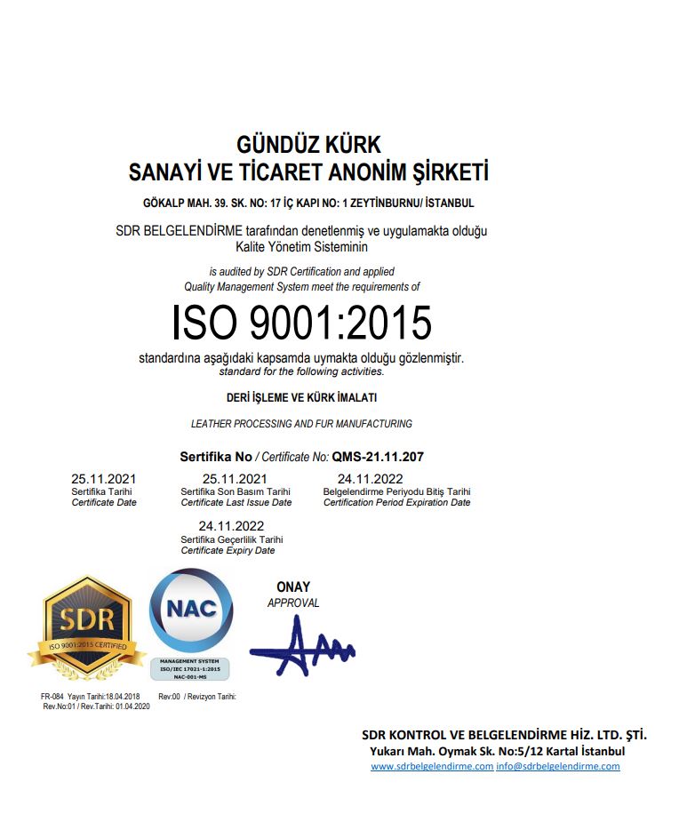 ISO 9001